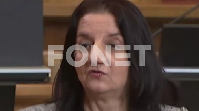 Neodgovorna izjava Paunović